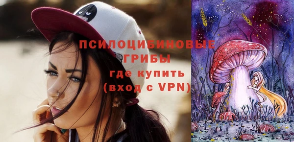 круглые Инсар