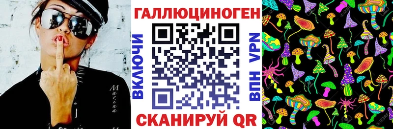 Купить где  Жердевка  Галлюциногенные грибы Cubensis 